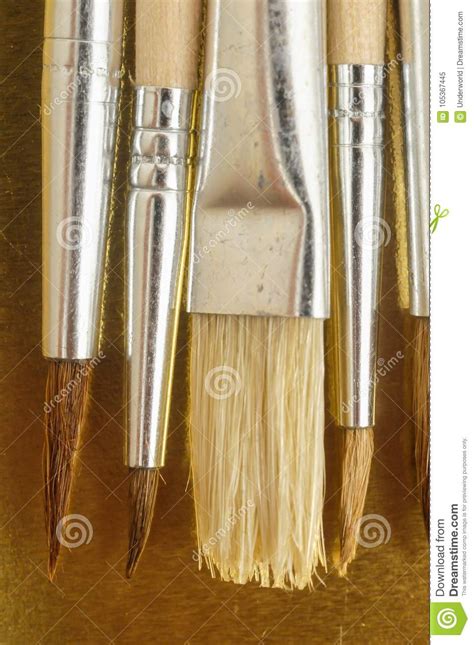 New Wooden Different Paintbrush Texture Stock Image Image Of