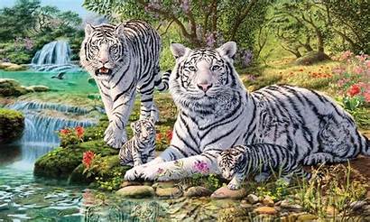 Tiger Jungle Desktop Animals Mobile Cubs Waterfall
