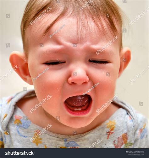 Portrait Crying Toddler Baby Boy Face Stock Photo 2149517973 Shutterstock