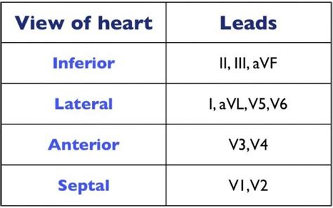 Heart Leads And Contiguous Leads Ekg Interpretation Ekg Technician