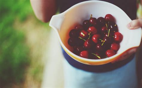 Wallpaper Food Red Fruit Drink Cherries Berries Flower Berry