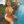 Tori Brixx Fappening Sexy Near Nude Bikini Photos The Fappening
