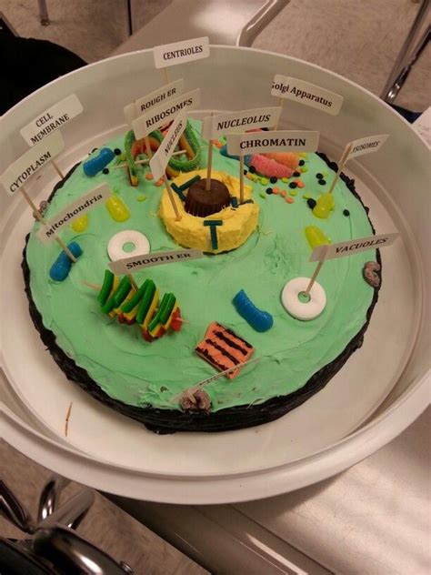 We did not find results for: Animal Cell Cake Project! Easy and A Affordable | Edible ...