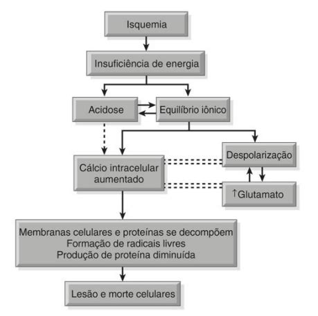 ACIDENTE VASCULAR CEREBRAL ISQUÊMICO AVCi Professor Gustavo Dias