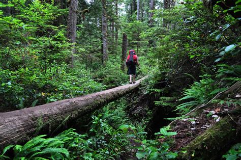 Best Time For West Coast Trail In British Columbia 2024 Roveme