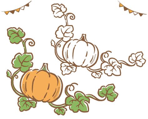 Pumpkins On The Vine Clipart Horizontal