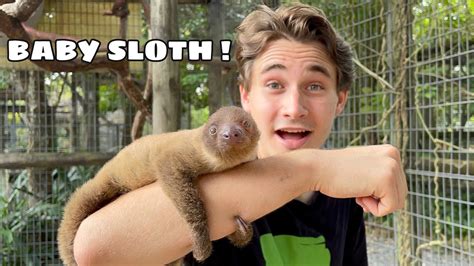 Teaching Cute Baby Sloth How To Climb Trees Youtube