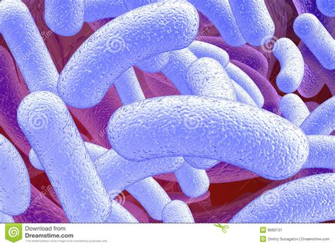 Illustration Of Bacillus Microorganisms Stock Illustration