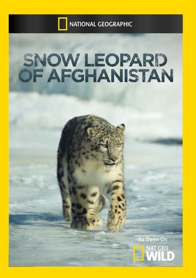 National Geographic Snow Leopard Of Afghanistan 727994955832