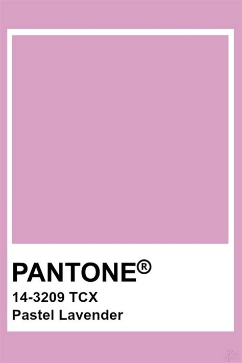 Pantone Pastel Lavender Pantone Palette Pantone Swatches Pantone