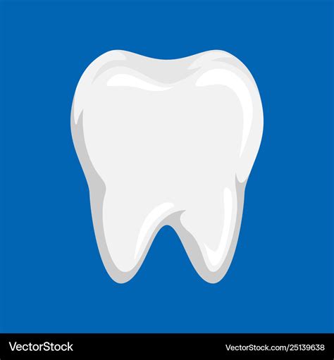 Clean Tooth Royalty Free Vector Image Vectorstock