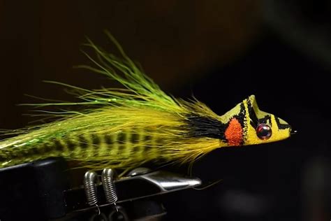 The 16 Best Bass Flies Fly Selection Guide
