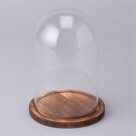 Decostar Glass Dome With Wood Base 12 Pieces Glass Domes Glass