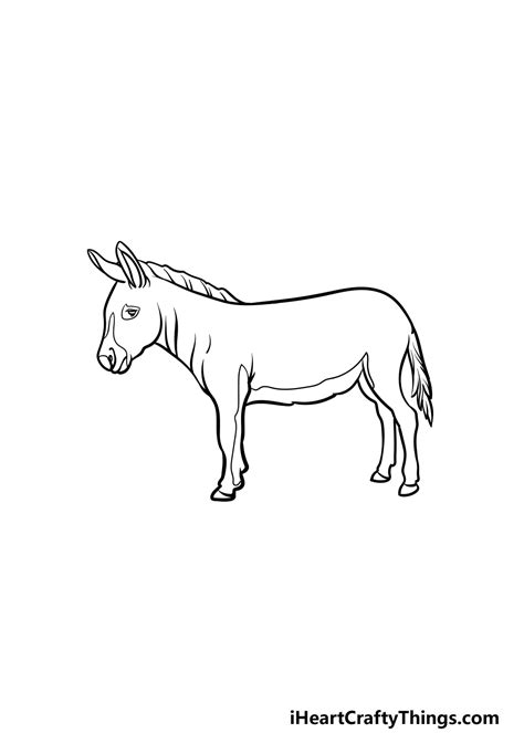 Donkey Drawing How To Draw A Donkey Step By Step