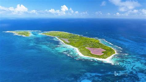 瓜德罗普岛娇小的岛屿法国 2017 Bing桌面壁纸预览