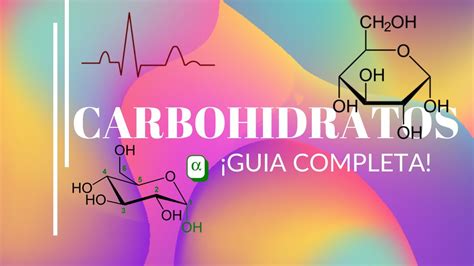 Bioquimica Guia Completa Para Entender Carbohidratos Funciones Estructuras Y Mucho M S