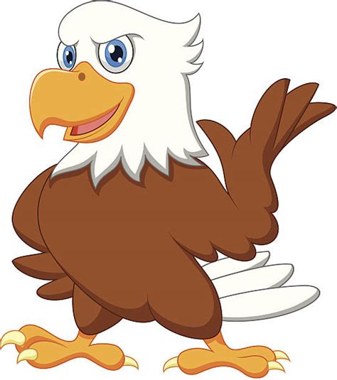 Best Eagle Funny Illustrations Royalty Free Vector