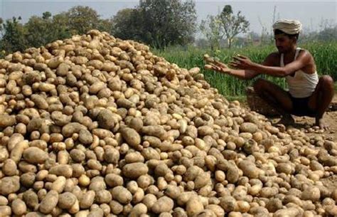 Potato Farmers Want Pepsico To Withdraw The Cases Unconditionally