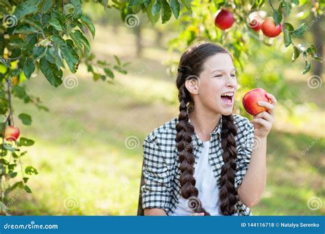 Girl With Apple In The Apple Orchard Stock Photo Image Of Healthcare