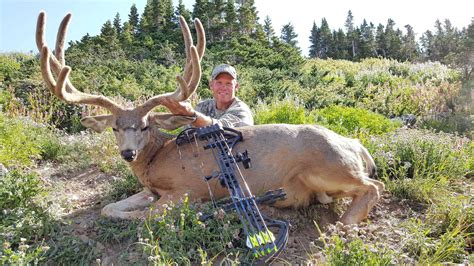 First Class Archery And Crossbow Trophy Mule Deer In Wyoming