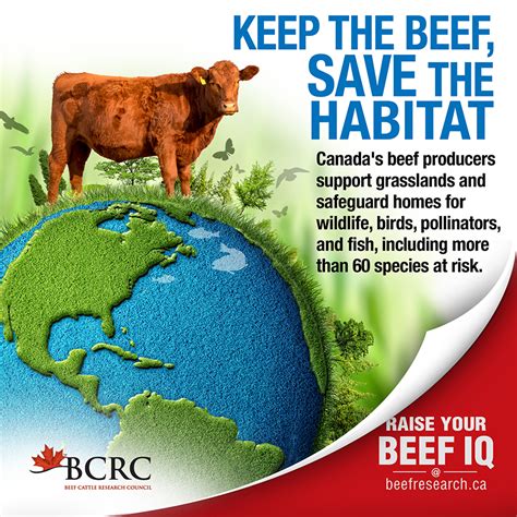 Environmental Footprint Of Beef Production Beefresearchca