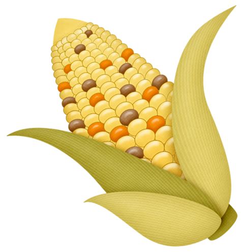 Clipart Indian Corn 10 Free Cliparts Download Images On Clipground 2023