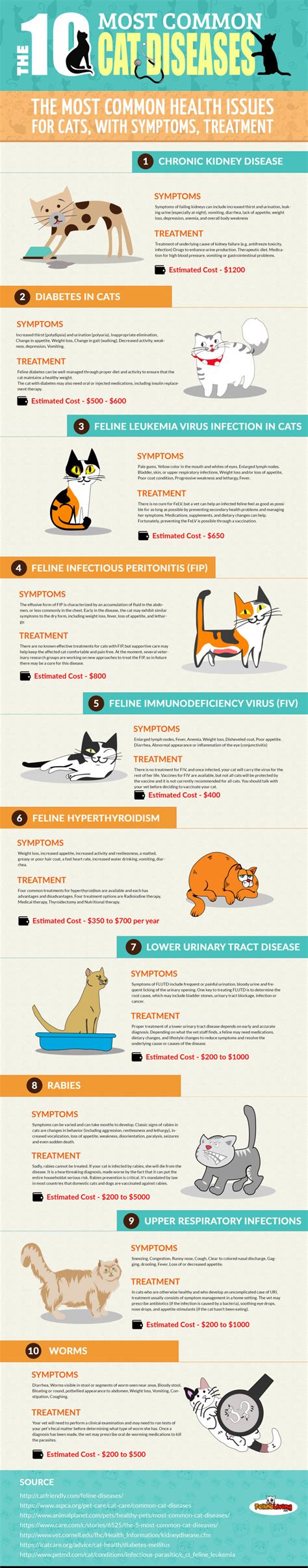 The Most Common Diseases In Cats Infographic Pro Pet Hero