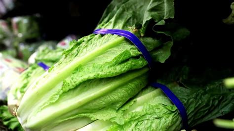 What States Have A Romaine Lettuce Recall Due To Possible E Coli