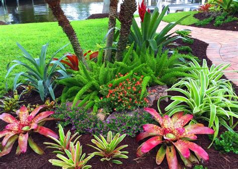 Florida Plants Landscaping Tropical Backyard Landscaping Tropical
