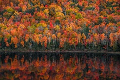 Fall Pictures 50 Beautiful Photos Of Autumn Across America