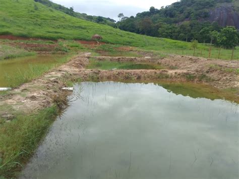 Fazenda S Tio M Em Centro Em Baixo Guandu Por R Viva Real