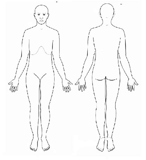 Human Body Chart Front And Back