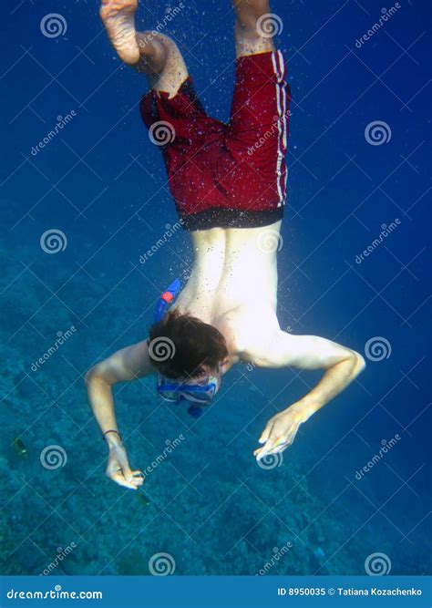 Man Dive In Deep Stock Image Image Of Vacation Nature 8950035