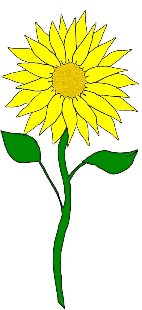 Sunflower Clip Art Image