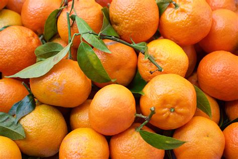 Free Images Produce Natural Juicy Vitamin Tangerine Kumquat
