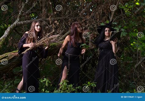 Three Witches In Forest Stock Image Image Of Lady Nature 58119641