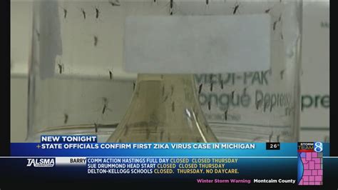 First Case Of Zika Confirmed In Michigan Resident Youtube