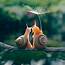Snail Love ️  Cute Creatures Nature Animals