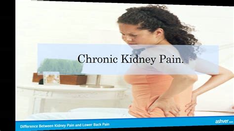 Difference Between Kidney Pain And Lower Back Pain Youtube