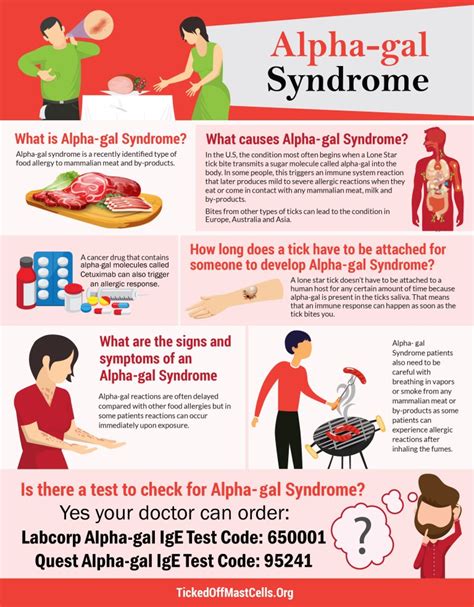 What Is Alpha Gal Syndrome Ticked Off Mast Cells