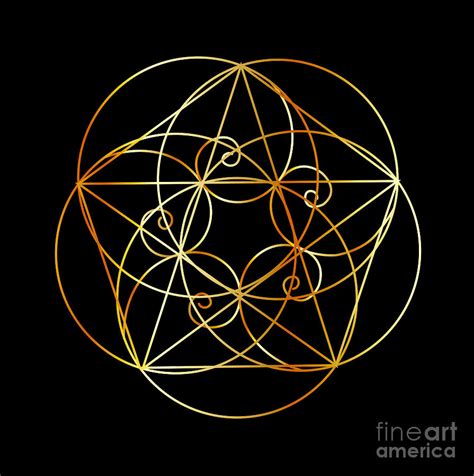 Fibonacci Spiral The Sacred Geometry Digital Art By Shawlin