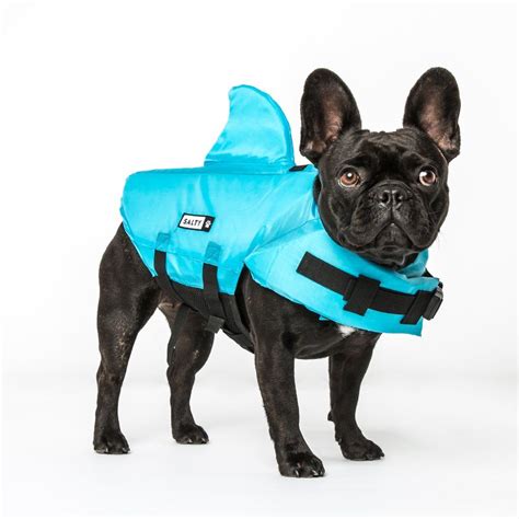 Shark fins aren't just for summer, your shark dog will be a hit in the snow, counter surfing at thanksgiving or eating the ornaments from the christmas tree. Pin by lauren on D O G G O | Life jacket, Fur babies, Shark