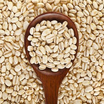Barley - Journey 2050Journey 2050