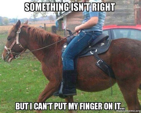 Something Isnt Right Funny Horse Memes Funny Horses Horse Jokes