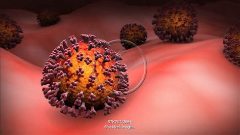 All subtitles for this tv series. COVID-19 coronavirus inside the human body. | Stocktrek Images