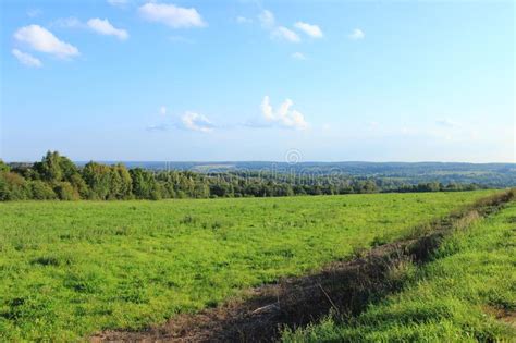 View Of The Field Forest And Hills In The Distance Moscow Region