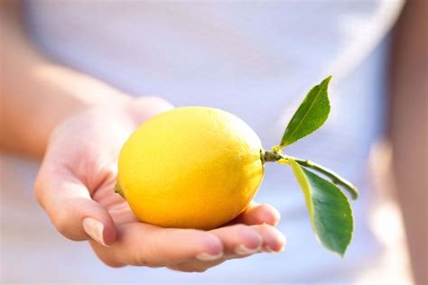 Lemon Water For Liver Detox Healthy Living