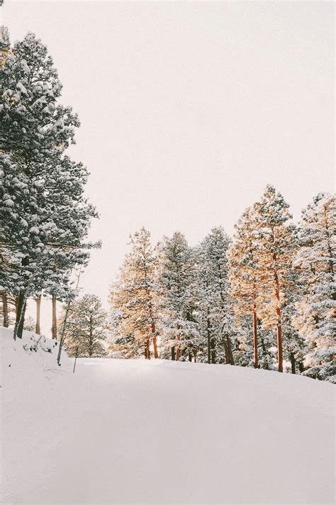 Aesthetic Vsco Pictures Winter Largest Wallpaper Portal