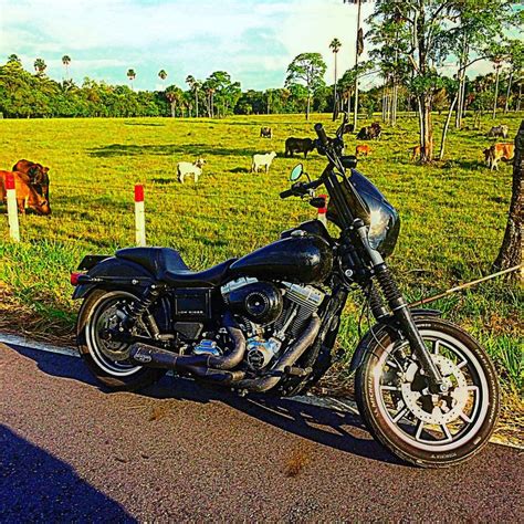 @jonsmotogarage low rider s 110 first wheelie attempts plans for new club style harley dyna 2017. 20 best Outlaw Style, Thug Style, Club Style Dyna Low ...