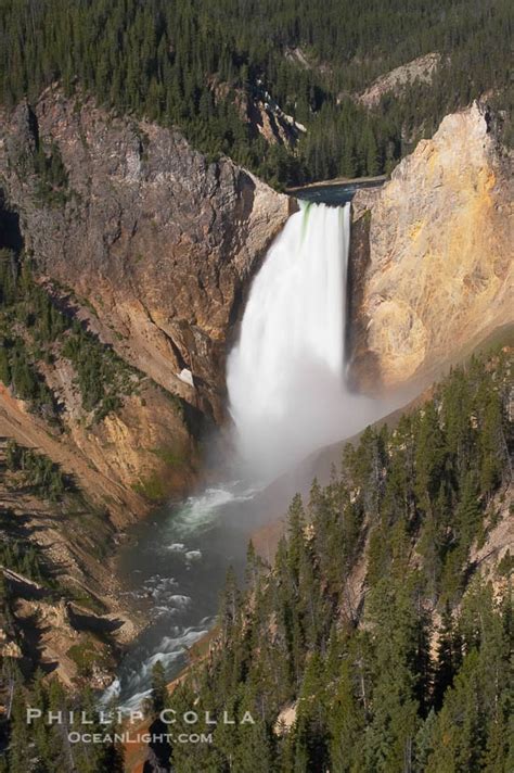 Lower Falls Of The Yellowstone River Grand Canyon Of The Yellowstone